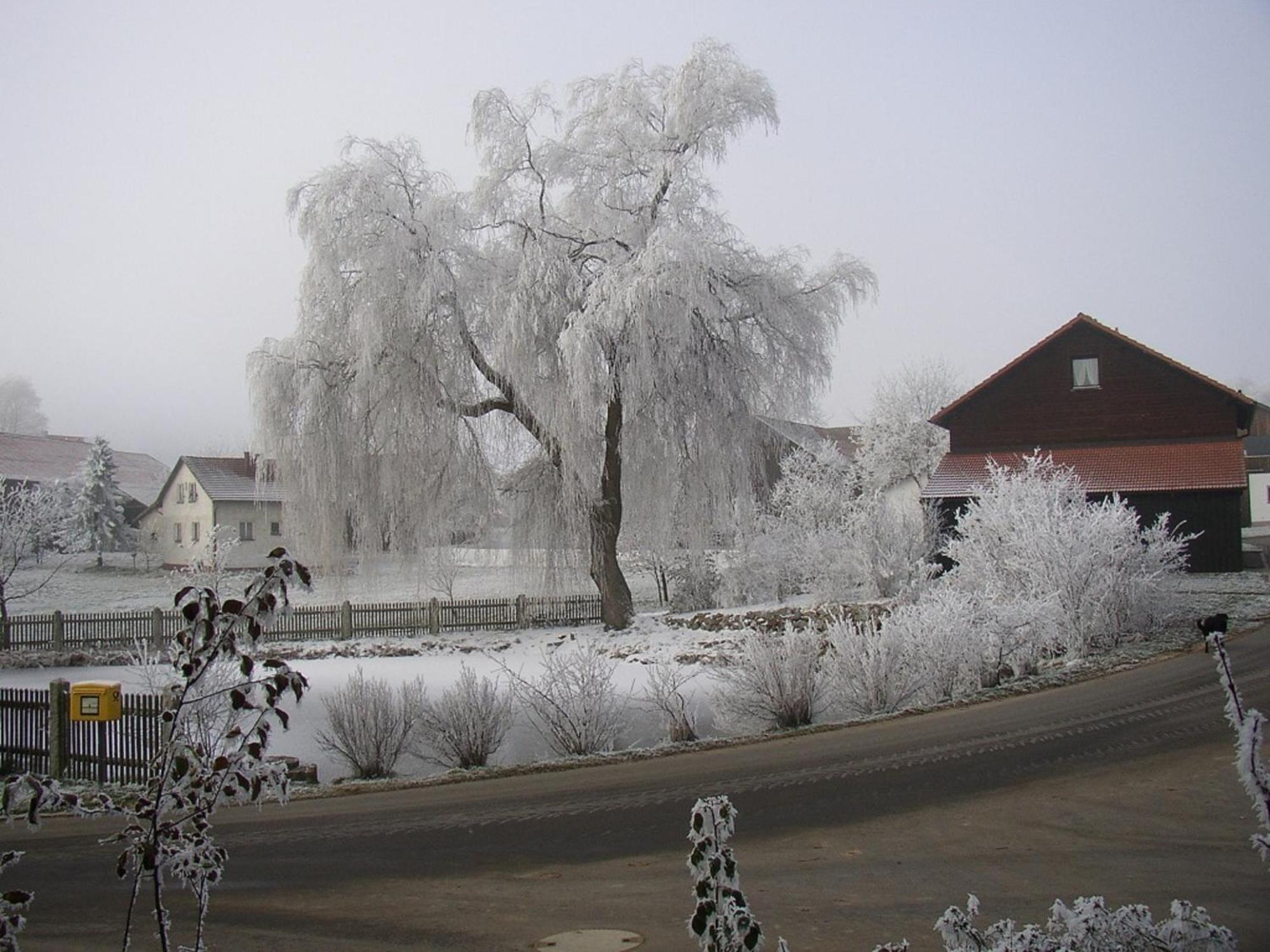 Gasthaus Zur Waldesruh Waffenbrunn Bagian luar foto