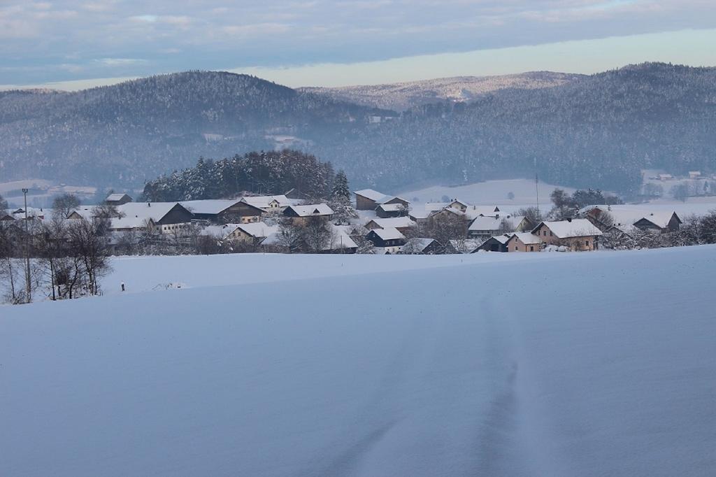 Gasthaus Zur Waldesruh Waffenbrunn Bagian luar foto