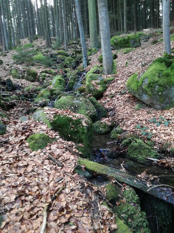 Gasthaus Zur Waldesruh Waffenbrunn Bagian luar foto