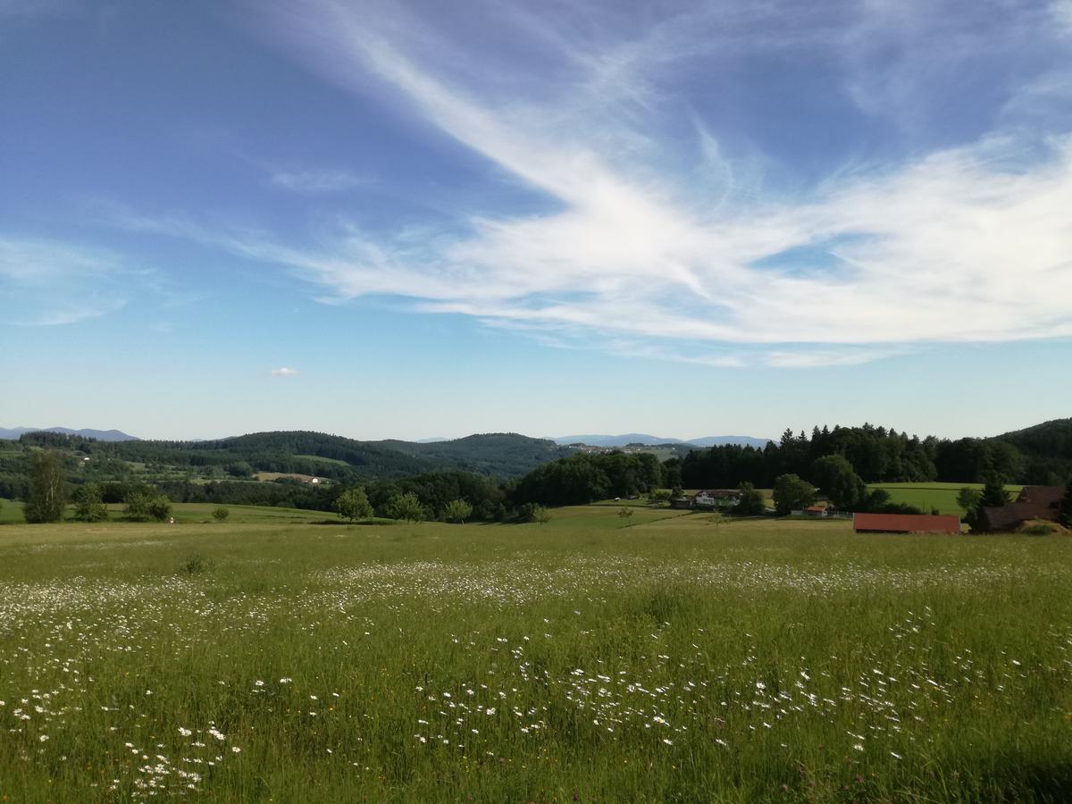 Gasthaus Zur Waldesruh Waffenbrunn Bagian luar foto